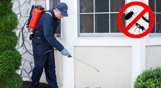 Erfelek Gümüşkurt İlaçlama böcek ilaçlama ve haşere kontrolü — ilaclama-tr.com